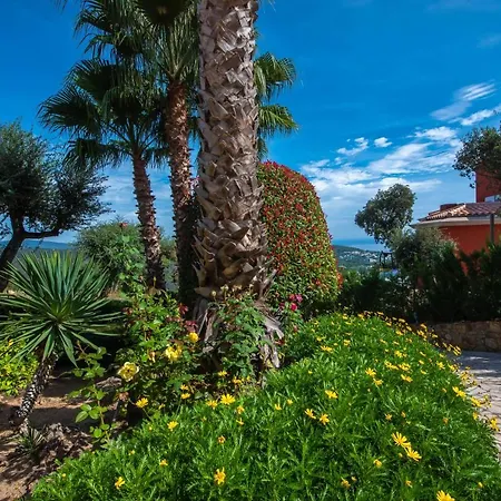 Villa Carrera
